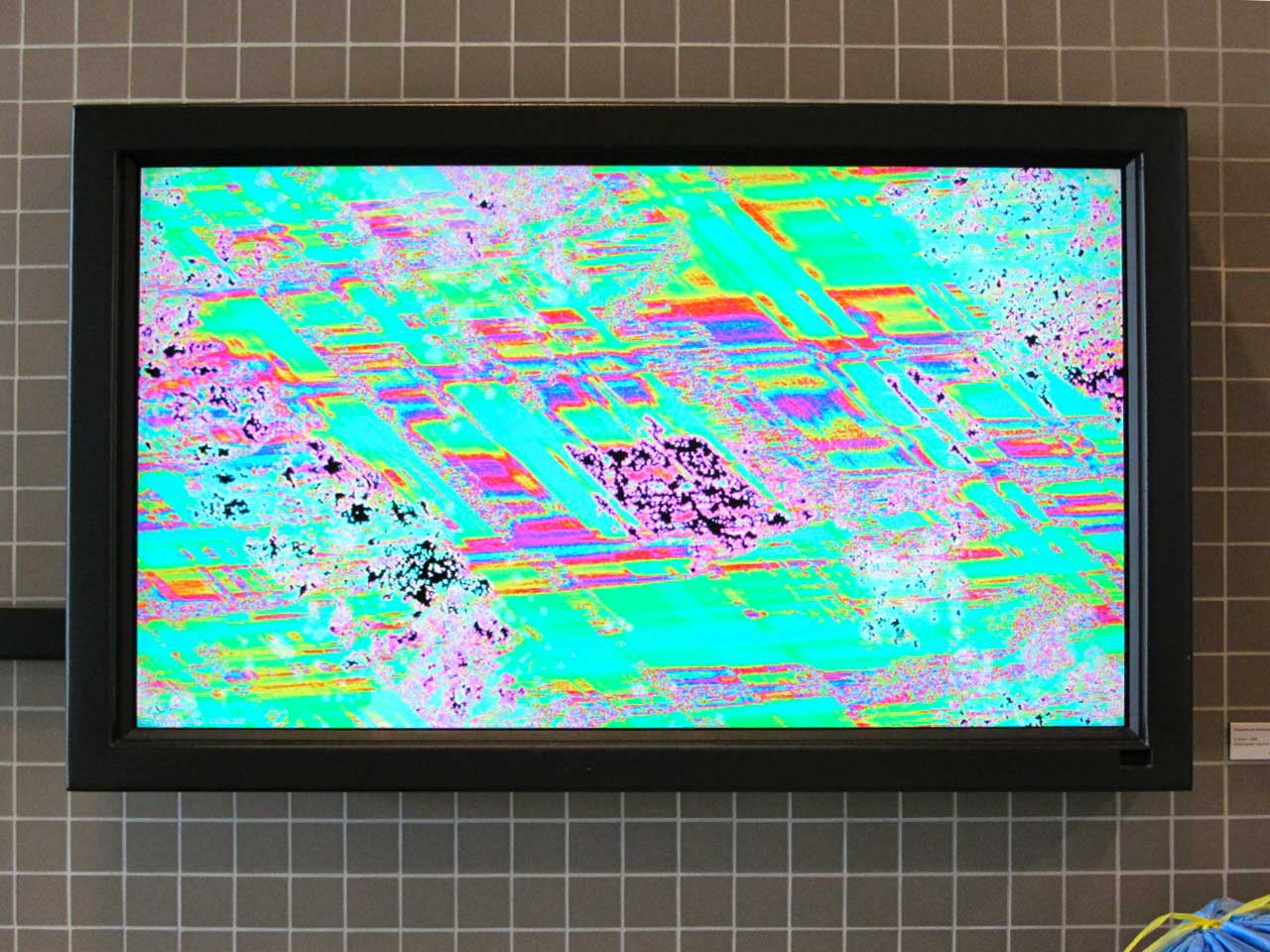 Uitgelichte afbeelding voor “Mijn stage bij LIMA: een goede match”