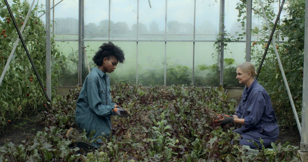 Uitgelichte afbeelding voor “Masterclass Afrofuturisme en Archief met Mirella Muroni”